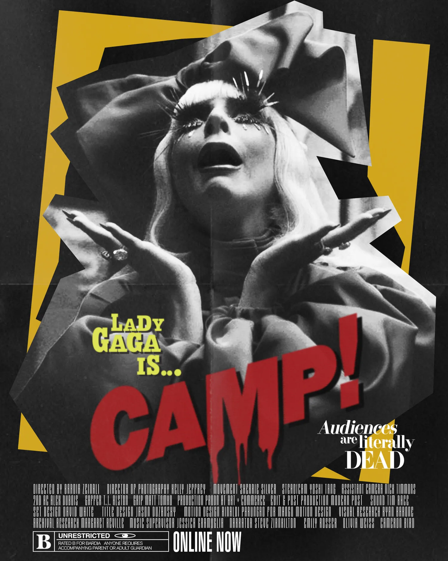 camp-poster3