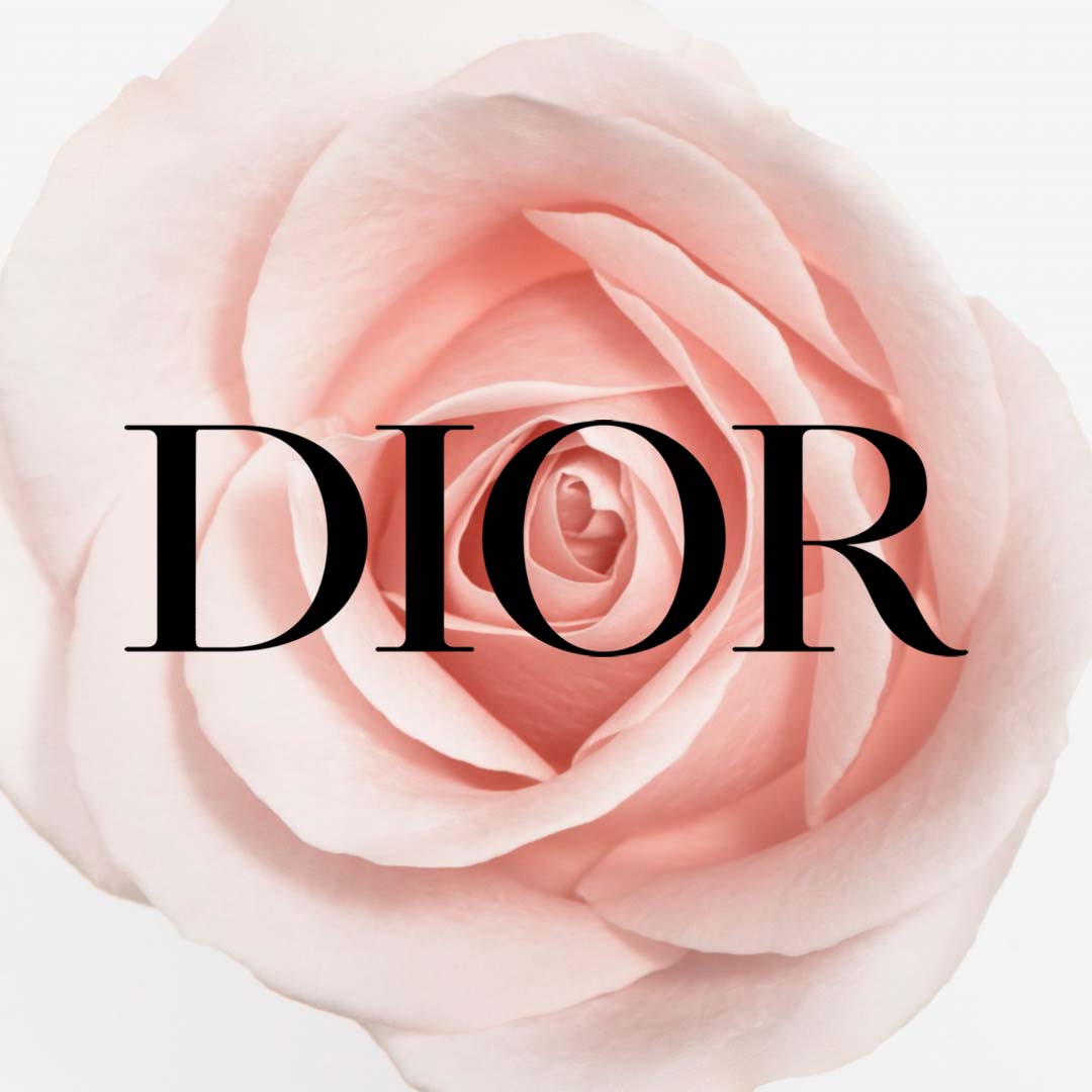 dior-page-accueil