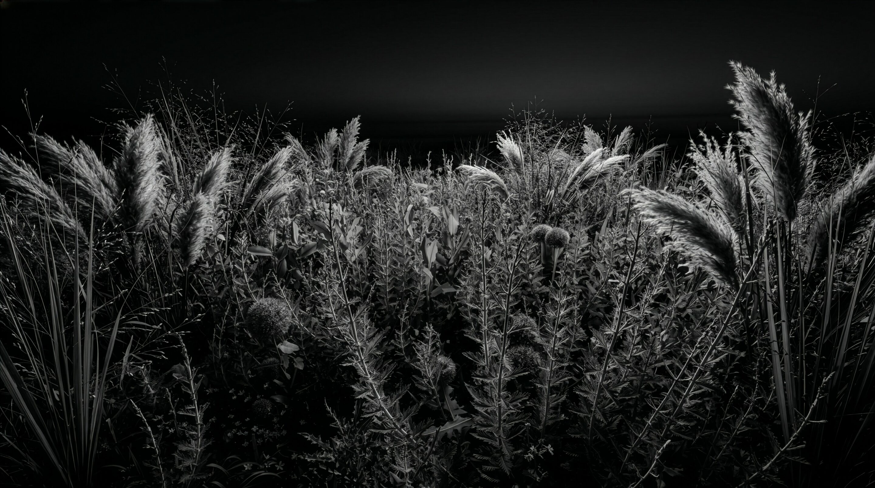 lund-x-mauviel-copyright-black-ruins-garden-nano-2k-1-4-firefly_-701207