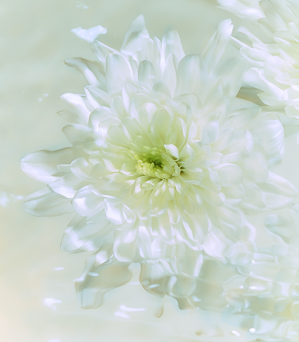 parfumdenuit_2124931