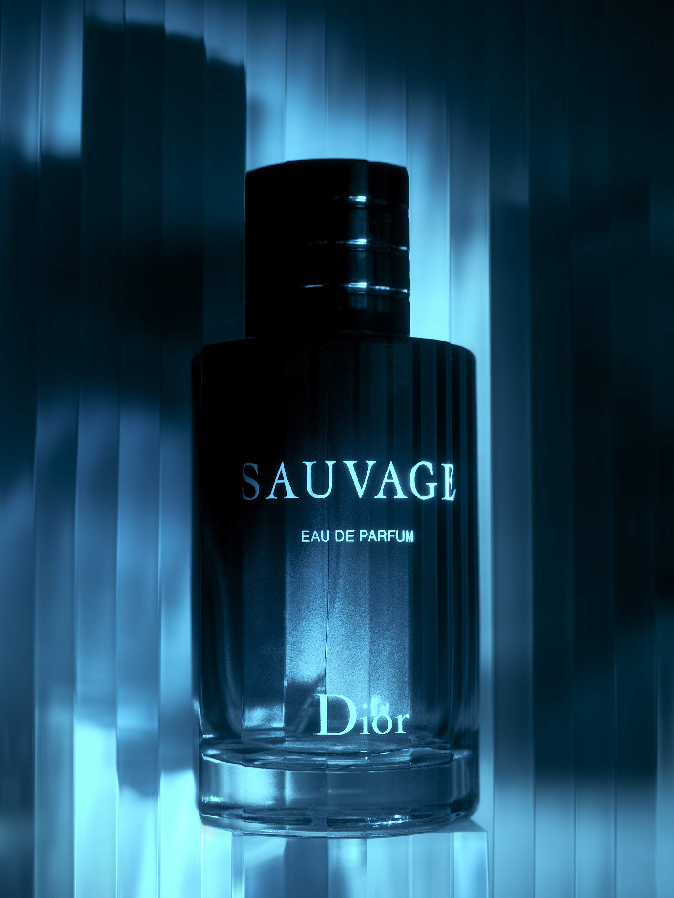 sauvage_2
