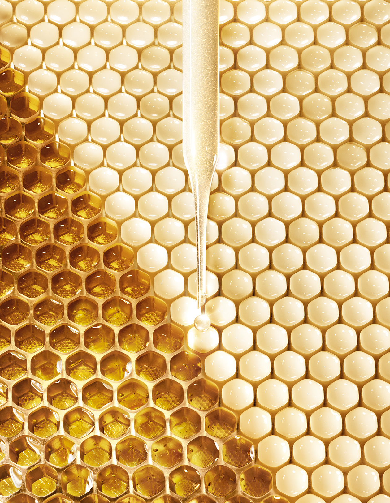 guerlain_abro20-310